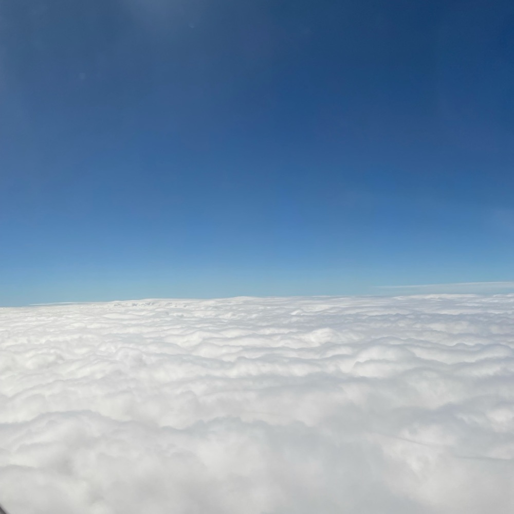 Meet your Posher, Janet